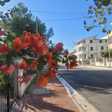La Dolce - Beachfront